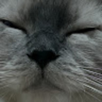 apdbfs.png?1747959728