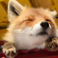 nvkkvr.png?1748777884