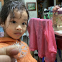 khlwqm.png?1748954930