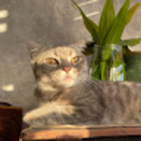 mjqkmu.png?1749444479