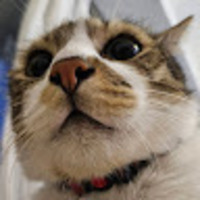 kvwtkn.png?1749448793