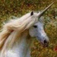 npbzma.png?1749636431