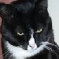 pfnuti.png?1750452877