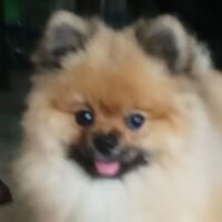 jvjndf.png?1750069110