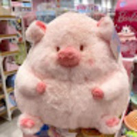 ajpjcr.png?1750150396