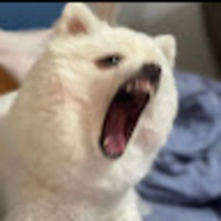 vfxejw.png?1750239337