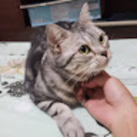 hdcrct.png?1751119563