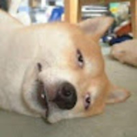 bfyaox.png?1751194080