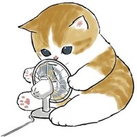 xylrcd.png?1751358945