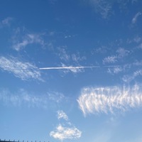 ygsfgn.png?1760679698