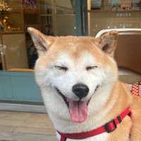 xrstpt.png?1751856413