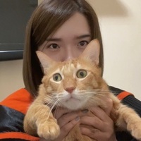 sflzpm.png?1751883645