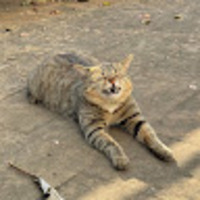 tznnxi.png?1751972030