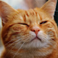 lrsegk.png?1752627007