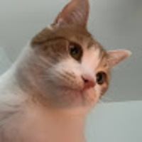 bulkry.png?1752731005