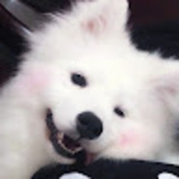 bjvmlt.png?1753017269