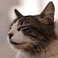 lfvqsg.png?1754554536