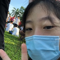 vtwbus.png?1754838333