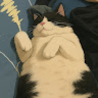 nvdfqf.png?1754987554
