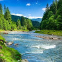 pdxpds.png?1759881452