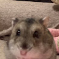 btyeif.png?1755710061
