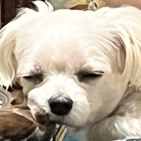 mmrqts.png?1755851408
