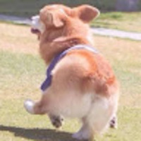 mbbeyz.png?1760449007