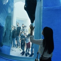 joywcu.png?1756533162