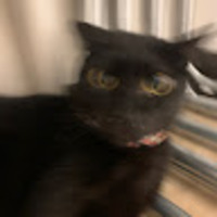 jwpkku.png?1756779887