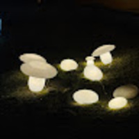 hnorqx.png?1756801122