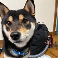 qglwpa.png?1756901259