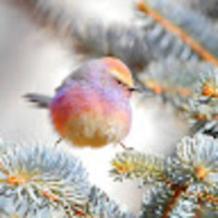 evjjof.png?1757262328