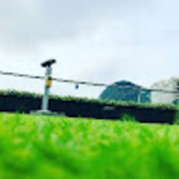 naevte.png?1757499159