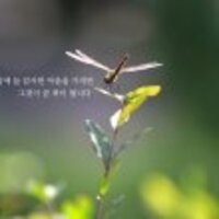 tqvwjc.png?1757590996