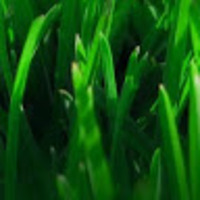 fmiiid.png?1758209907