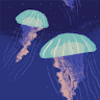 mpolyg.png?1758462874