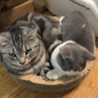 kdfwti.png?1759250125