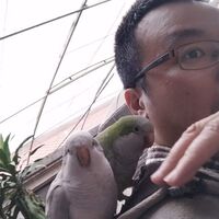 roezyu.png?1759562985