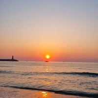 aexarb.png?1761193838