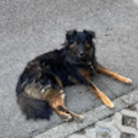 kbkcha.png?1759644815