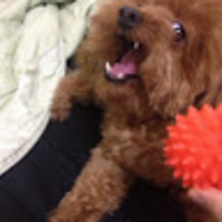 nzeqsr.png?1759740448