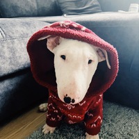 bwcfxc.png?1759843926