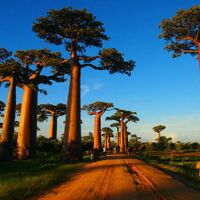 clchiu.png?1760088324