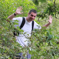 mpeztc.png?1768468105