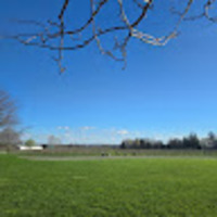 mdztcj.png?1760662497