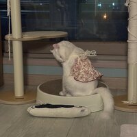 dqlmuq.png?1761052588