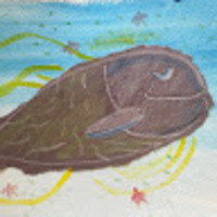 uvfbbd.png?1761007213