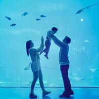 twnhxi.png?1761712265