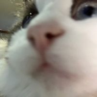 mhkyzi.png?1763278015