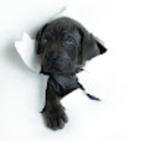 modykr.png?1761625363